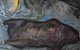 Pigment Gallery - thumb 2