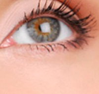 Cinnamon Stix Hair  Day Spa - Accommodation Melbourne