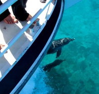 Pelican Charters - Accommodation Melbourne