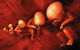Winterfall Theatre Company - thumb 1