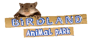 Birdland Animal Park - Accommodation Melbourne