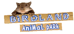 Birdland Animal Park - Accommodation Melbourne 0