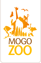 Mogo Zoo - Accommodation Melbourne
