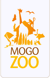 Mogo Zoo - Accommodation Melbourne 0