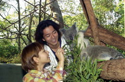 Taronga Zoo - Accommodation Melbourne 2