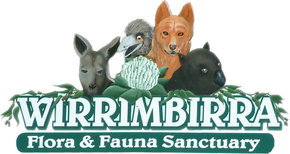 Wirrimbirra Sanctuary - Accommodation Melbourne 0