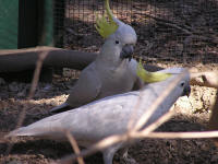 Wirrimbirra Sanctuary - Accommodation Melbourne 1