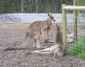 Woodford VIC Accommodation Melbourne