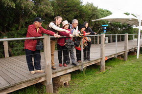 Phillip Island Penguin Parade - Accommodation Melbourne 1