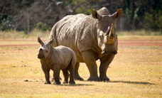 Werribee Open Range Zoo - Accommodation Melbourne 3