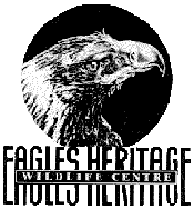 Eagles Heritage - Accommodation Melbourne 0