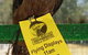 Eagles Heritage - thumb 1
