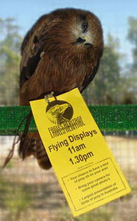 Eagles Heritage - Accommodation Melbourne 1