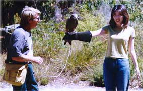 Eagles Heritage - Accommodation Melbourne 2