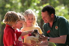 Cleland Wildlife Park - Accommodation Melbourne 0
