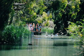 Cleland Wildlife Park - Accommodation Melbourne 1
