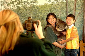 Cleland Wildlife Park - Accommodation Melbourne 2