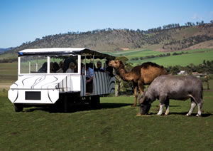 Zoo Doo Wildlife Park - Accommodation Melbourne 2