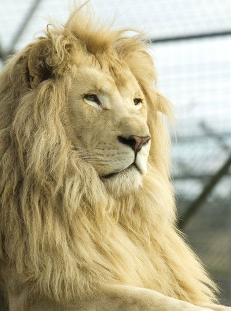 Zoo Doo Wildlife Park - Accommodation Melbourne 3