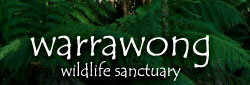 Warrawong Wildlife Park - Accommodation Melbourne 0