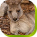 Calmsley Hill City Farm - Accommodation Melbourne 0