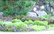 Calmsley Hill City Farm - thumb 1