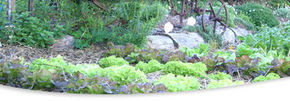 Calmsley Hill City Farm - Accommodation Melbourne 1