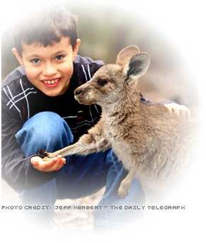 Australia Walkabout Wildlife Park - Accommodation Melbourne 1