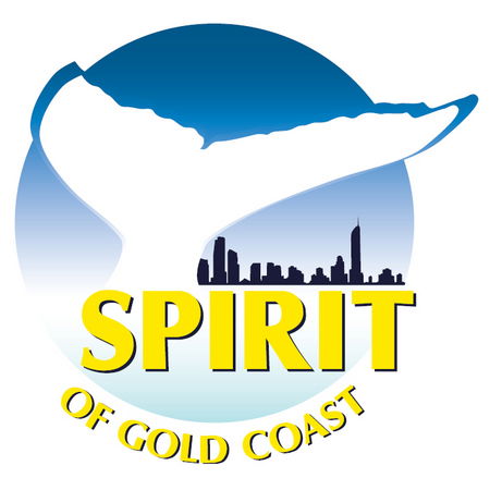 Spirit Of Gold Coast Whale Watching - Accommodation Melbourne 0