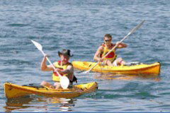 Manly Kayaks - Accommodation Melbourne 0