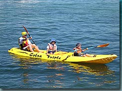 Manly Kayaks - Accommodation Melbourne 3