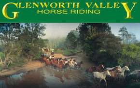 Glenworth Valley Horseriding - Melbourne 4u 0