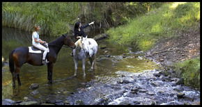 Glenworth Valley Horseriding - Melbourne 4u 1