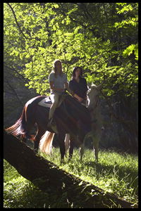 Glenworth Valley Horseriding - Melbourne 4u 2