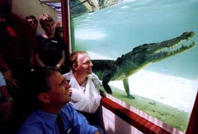 Alice Springs Reptile Centre - Accommodation Melbourne 1