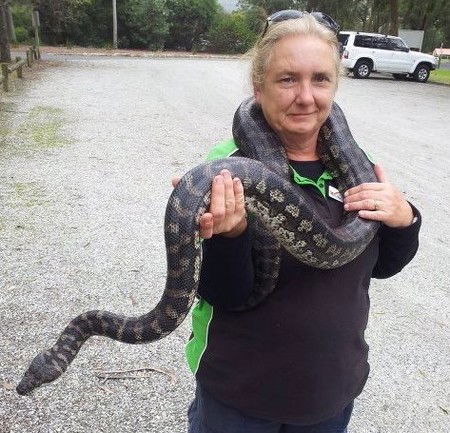 Gumbuya Park - Accommodation Melbourne 2