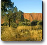 Uluru - Kata Tjuta National Park - Accommodation Melbourne
