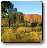 Uluru - Kata Tjuta National Park - Accommodation Melbourne 0