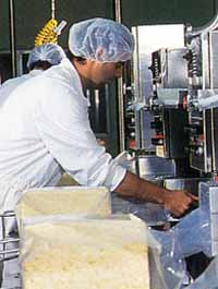 Allansford Cheese World - Accommodation Melbourne 1