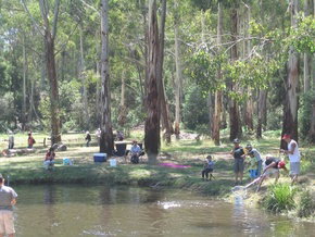 Buxton Trout And Salmon Farm - Accommodation Melbourne 3