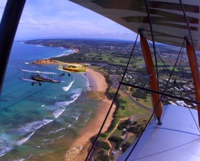 Tiger Moth World Adventure Park - Accommodation Melbourne 1