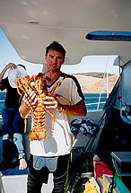 Temptation Sailing - Accommodation Melbourne 3