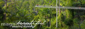 Rainforest Skywalk - Accommodation Melbourne 2