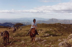 High Country Horses - Accommodation Melbourne 0