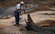 Koorana Saltwater Crocodile Farm - thumb 1