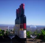 Mount Tamborine Winery  Homestead - Accommodation Melbourne