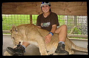 Cairns Wildlife Safari Reserve - Accommodation Melbourne 1