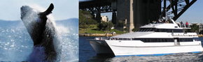 Prestige Harbour Cruises - Accommodation Melbourne 3