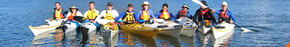 Sydney Harbour Kayaks - Accommodation Melbourne 3