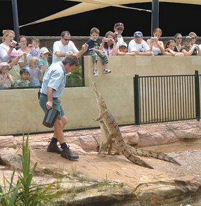 Symbio Wildlife Gardens - Accommodation Melbourne 3